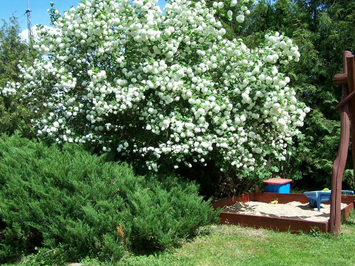 Agrohotelik-Gospodarstwo Agroturystyczne Mrągowo Dış mekan fotoğraf